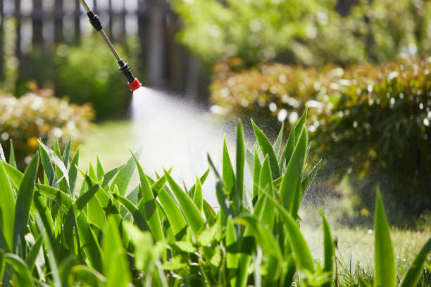 Tamper-Resistant Bait Stations for Rodents in Massanutten
